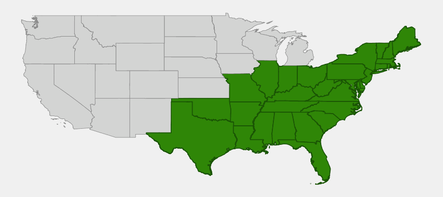 Native range map of Broad Beech Fern (Phegopteris hexagonoptera) showing distribution across the eastern United States