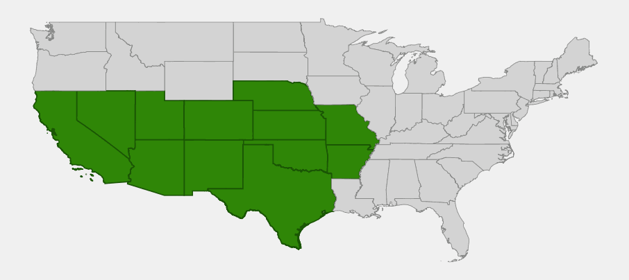 Native range map of Buffalo Gourd (Cucurbita foetidissima) highlighting Texas, New Mexico, Arizona, Colorado, Kansas, Nebraska, Oklahoma, Missouri, Arkansas, California, Nevada and Utah
