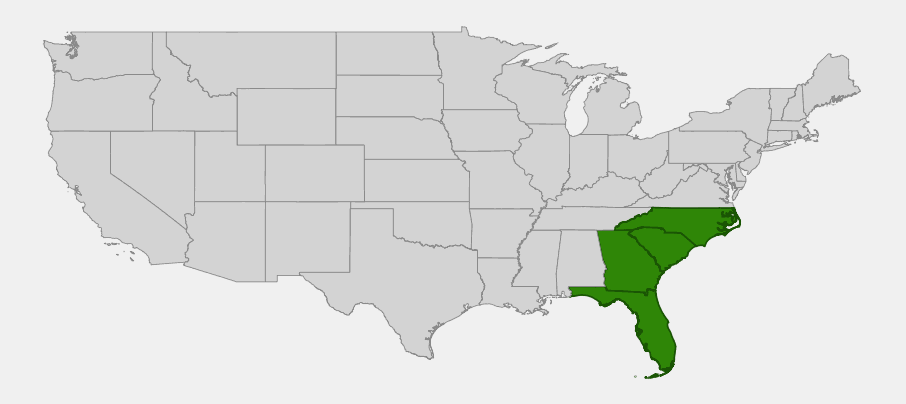 Native range map of Cabbage Palm (Sabal palmetto) highlighting North Carolina, South Carolina, Georgia and Florida