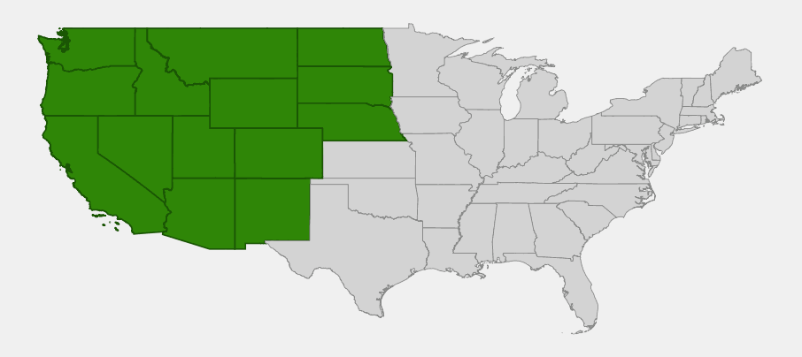 Native range map of California Brome Grass (Bromus carinatus) showing distribution across the western United States