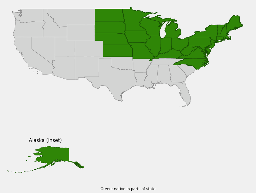 Native range map of Canada goldenrod (Solidago canadensis) showing distribution across the northeastern, midwestern and north-central United States and Alaska
