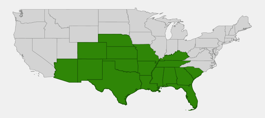 Native range map of Carolina Larkspur (Delphinium carolinianum) showing distribution across the south-central and southeastern United States