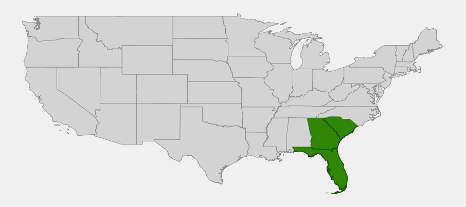 Native range map of Chapman oak (Quercus chapmanii) highlighting Florida, Georgia and South Carolina