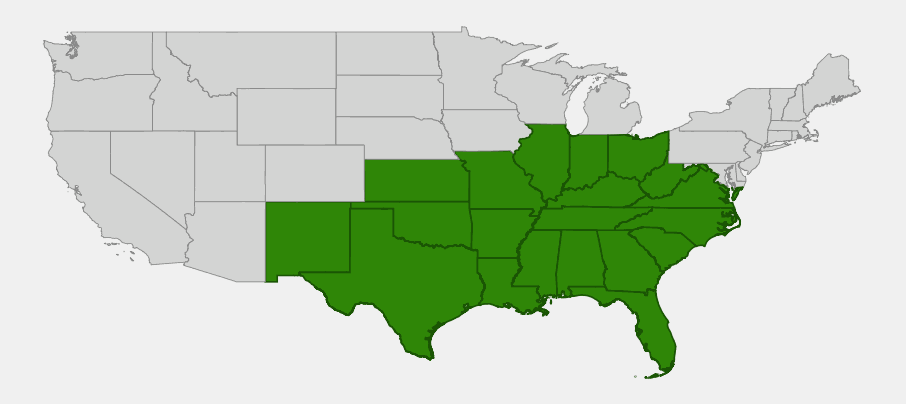 Native range map of Chickasaw Plum (Prunus angustifolia) across the south-central and southeastern United States