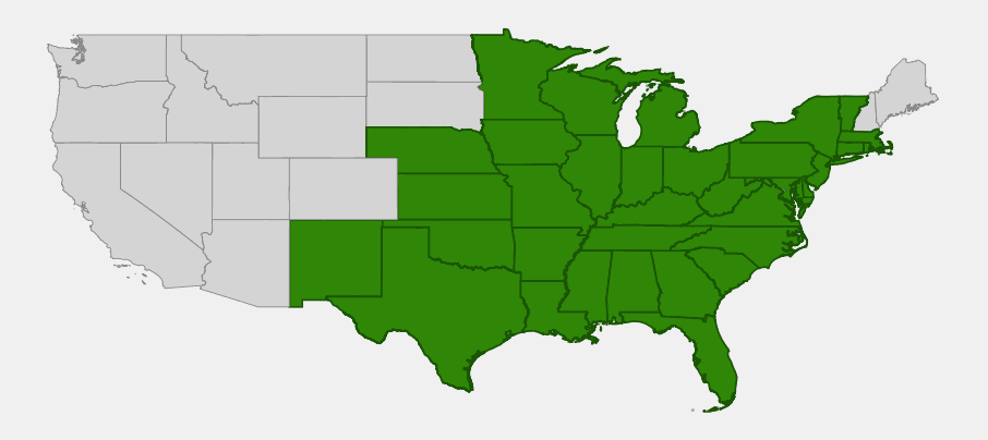 Native range map of chinkapin oak (Quercus muehlenbergii) across the eastern, central and south-central United States