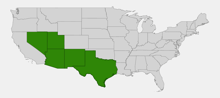 Native range map of Cliff Fendlerbush (Fendlera rupicola) showing distribution across Nevada, Utah, Arizona, New Mexico, and Texas