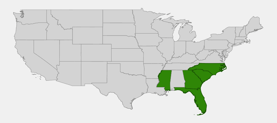 Native range map of climbing aster (Ampelaster carolinianus) highlighting Florida, Georgia, South Carolina, North Carolina and Mississippi