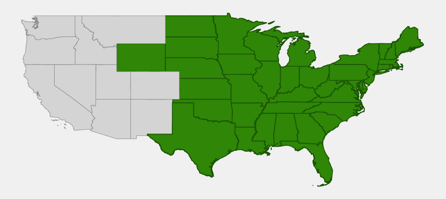 Native range map of climbing false buckwheat (Fallopia scandens) across the eastern and central United States