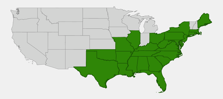 Native range map of climbing hempvine (Mikania scandens) showing distribution across the eastern and central United States from Maine to Texas