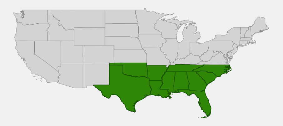 Native range map of Coastal Plain Willow (Salix caroliniana) showing distribution across the southeastern United States from Texas to the Carolinas