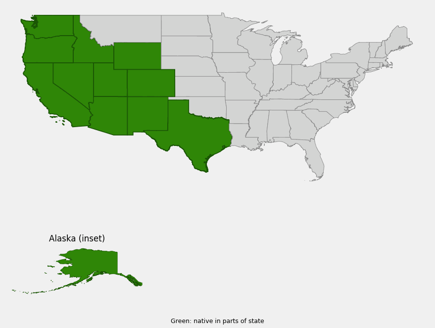 Native range map of coastal springbank clover (Trifolium wormskioldii) showing distribution across Alaska, the West Coast, Great Basin, Rocky Mountains, and south/west Texas