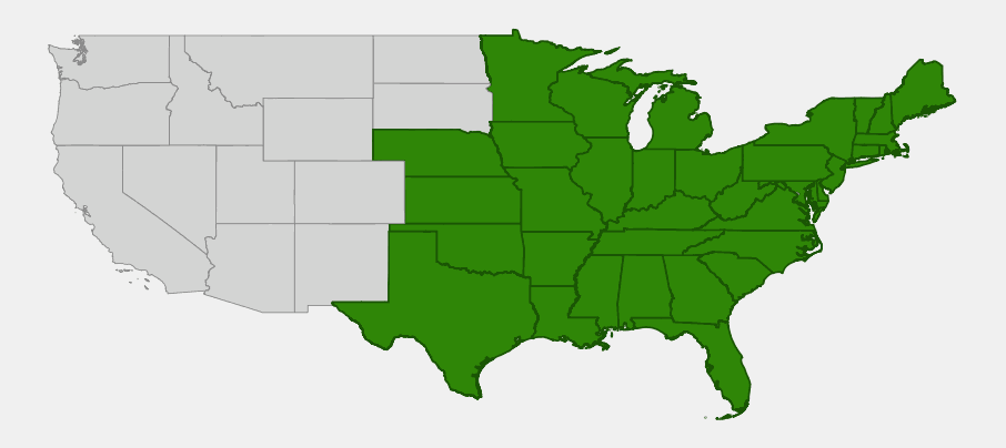 Native range map of Common Cinquefoil (Potentilla simplex) showing distribution across the eastern and central United States