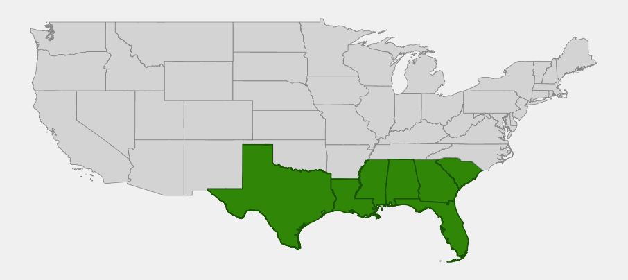 Native range map of coralbean (Erythrina herbacea) showing distribution across Texas, Louisiana, Mississippi, Alabama, Georgia, Florida, and South Carolina