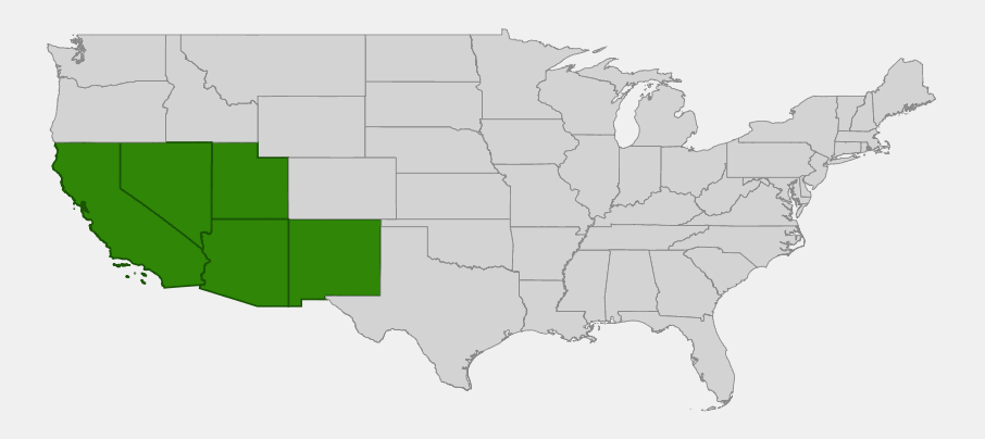 Native range map of Coulter's lupine (Lupinus sparsiflorus) showing distribution across Arizona, California, Nevada, Utah, and New Mexico