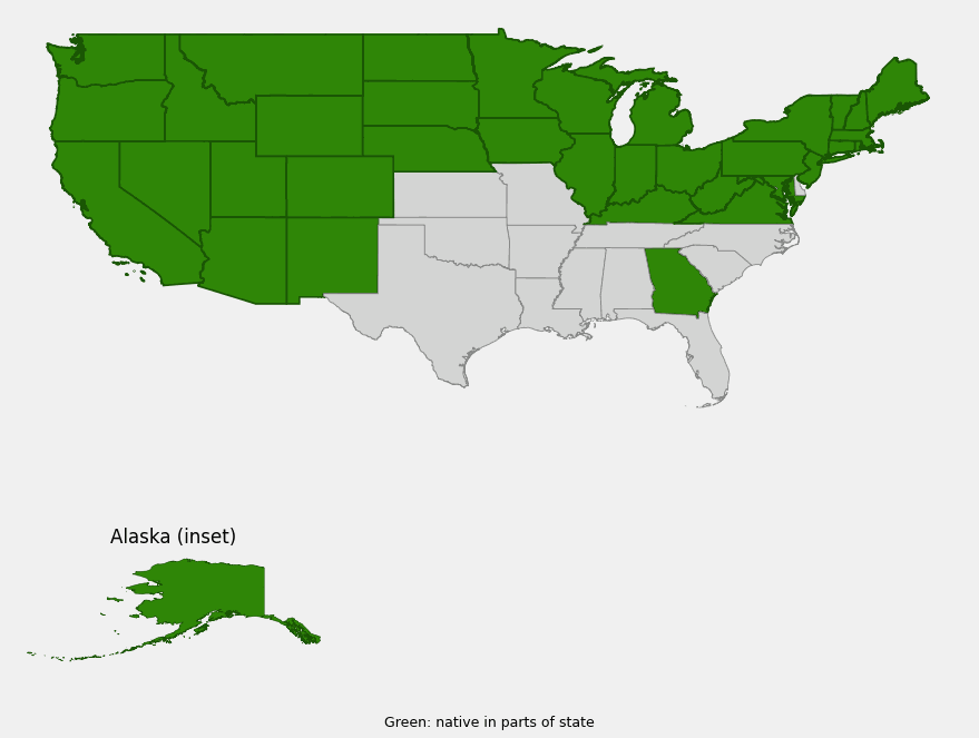 Native range map of cow parsnip (Heracleum maximum) showing distribution across Alaska, the northern and western United States, and the Northeast
