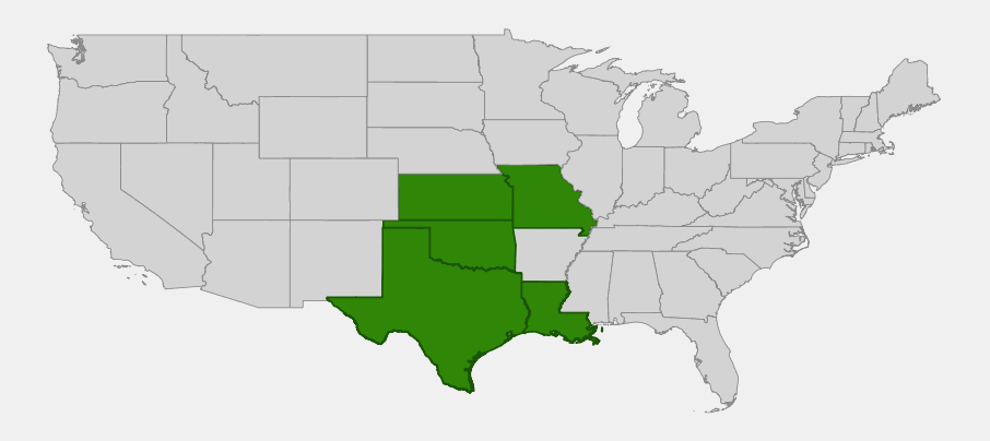 Native range map of Cusp Blazing Star (Liatris mucronata) highlighting Texas, Oklahoma, Kansas, Missouri and Louisiana