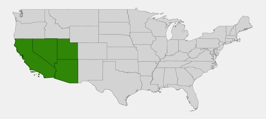 Native range map of desert mariposa lily (Calochortus kennedyi) showing distribution across California, Nevada, Utah, and Arizona