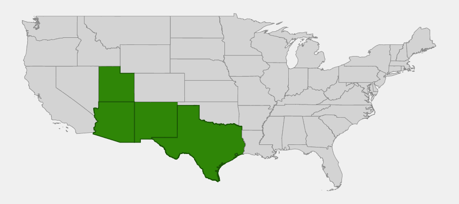 Native range map of Desert Zinnia (Zinnia acerosa) showing distribution across Arizona, New Mexico, Texas, and Utah