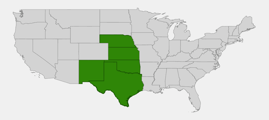 Native range map of Drummond's Wild Onion (Allium drummondii) showing distribution across Nebraska, Kansas, Oklahoma, New Mexico, and Texas