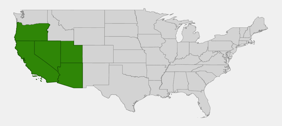 Native range map of dune evening primrose (Oenothera deltoides) showing distribution across California, Nevada, Arizona, Oregon, and Utah