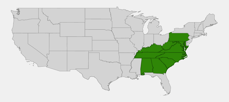 Native range map of Dutchman's Pipe (Aristolochia macrophylla) showing distribution across the Appalachian states from Pennsylvania to Alabama