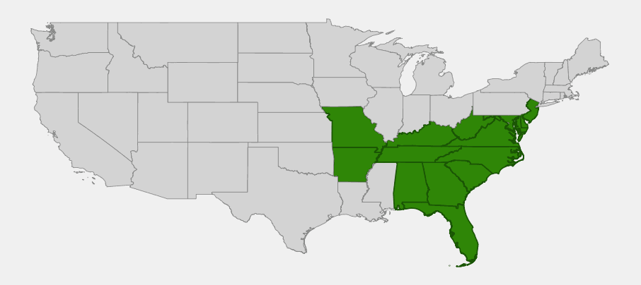 Native range map of Dwarf Violet Iris (Iris verna) showing distribution across the southeastern US, mid-Atlantic, and disjunct Ozark/Ouachita populations