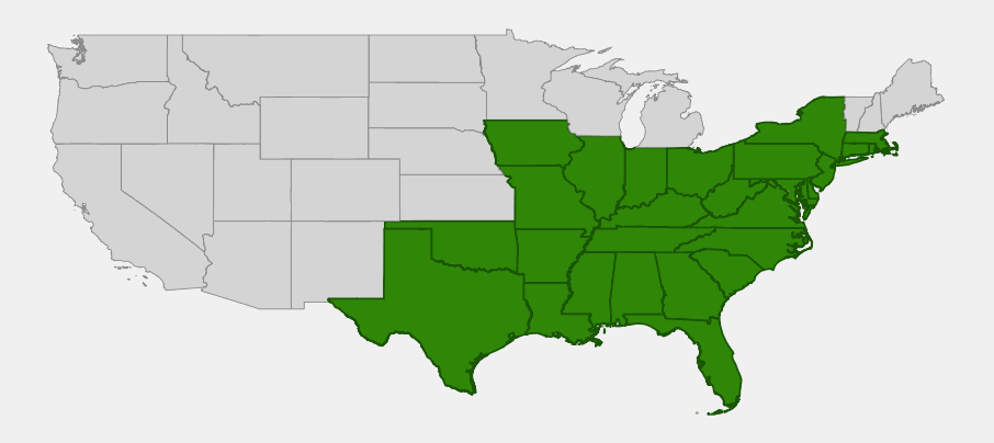 Native range map of eastern narrowleaf sedge (Carex amphibola) showing distribution across the eastern and southeastern United States