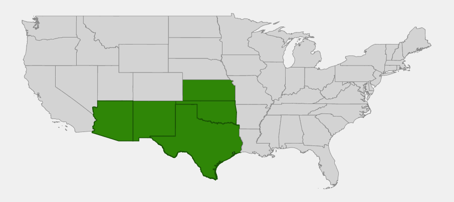 Native range map of Engelmann Daisy (Engelmannia peristenia) showing distribution across Texas, Oklahoma, New Mexico, Arizona and southern Kansas