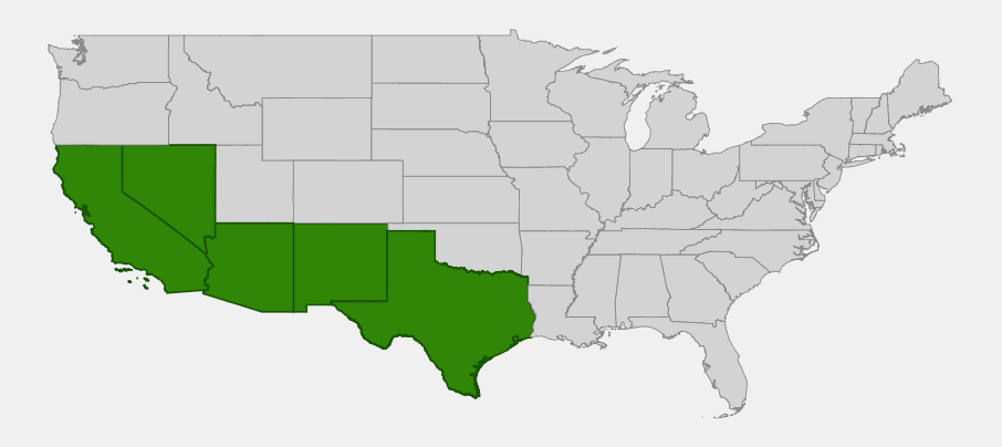 Native range map of Engelmann's Prickly Pear (Opuntia engelmannii) showing distribution across Arizona, California, Nevada, New Mexico, and Texas