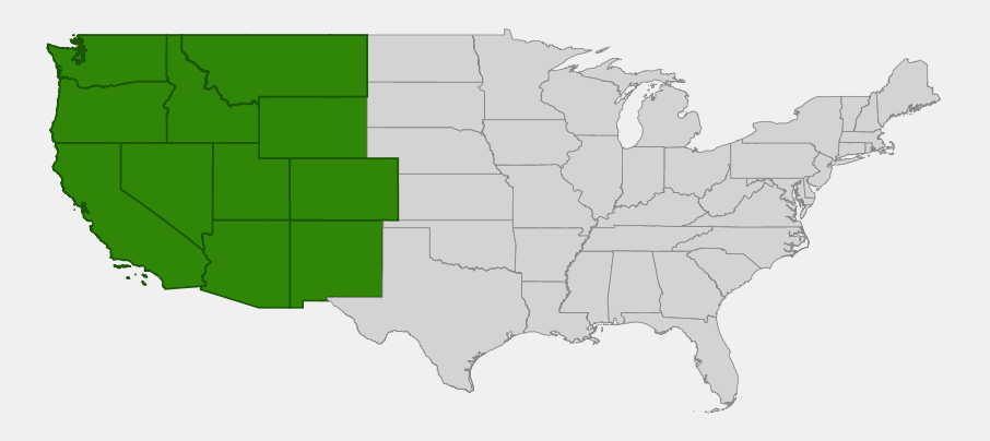 Native range map of Engelmann spruce (Picea engelmannii) showing distribution across the Rocky Mountains and interior ranges from Washington and Montana south to Arizona and New Mexico