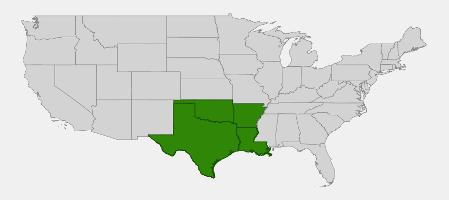Native range map of Eve's Necklace (Styphnolobium affine) highlighting Texas, Oklahoma, Arkansas, and Louisiana