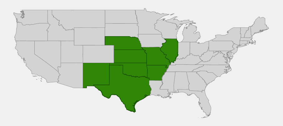 Native range map of Fameflower (Phemeranthus calycinus) showing distribution across Illinois, Missouri, Nebraska, Kansas, Oklahoma, Arkansas, Texas, and New Mexico