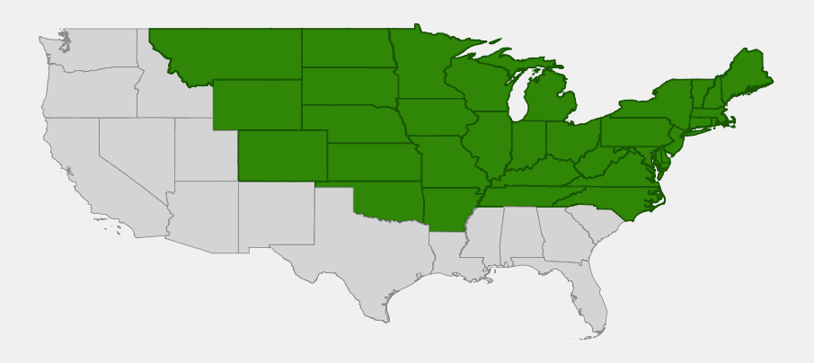 Native range map of field pussytoes (Antennaria neglecta) covering the northern and central United States from New England to Montana and south to Oklahoma, Arkansas, Tennessee and North Carolina