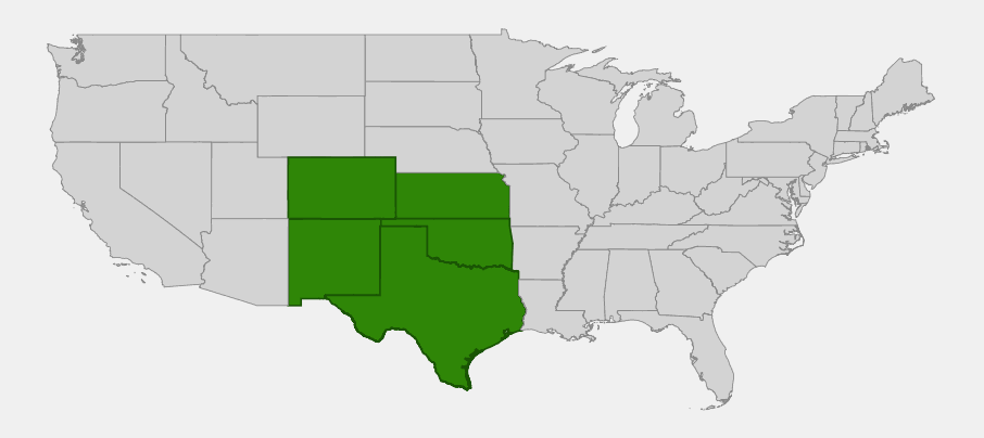 Native range map of Four-nerve Daisy (Tetraneuris scaposa) showing distribution across Colorado, Kansas, New Mexico, Oklahoma, and Texas
