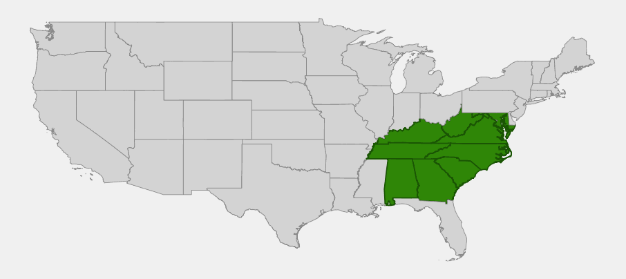 Native range map of galax (Galax urceolata) showing distribution across the Southern Appalachian states