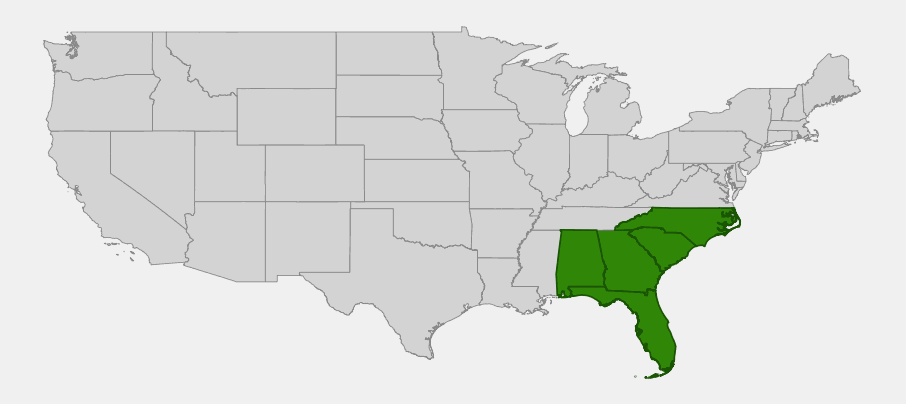Native range map of Georgia aster (Symphyotrichum georgianum) showing distribution across Alabama, Georgia, North Carolina, South Carolina and Florida