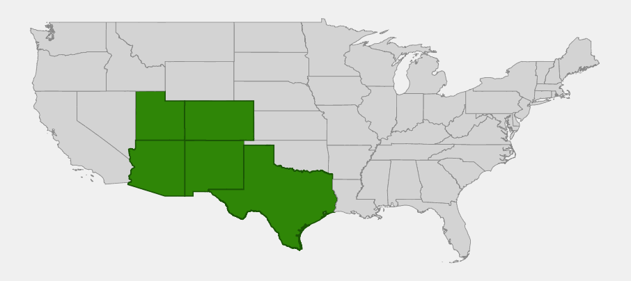 Native range map of golden columbine showing distribution across Arizona, New Mexico, Utah, Colorado, and Texas