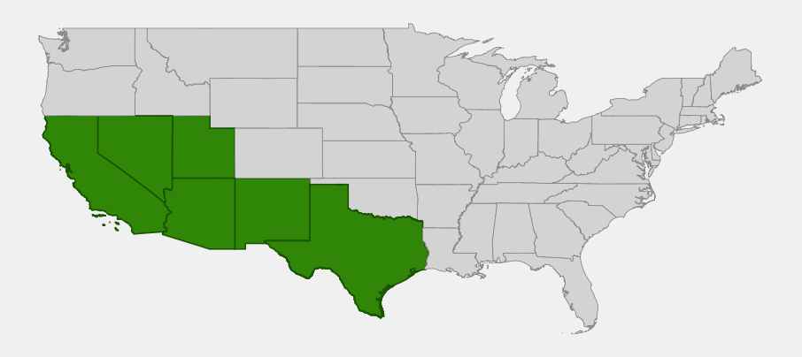 Native range map of Goodding's Willow (Salix gooddingii) showing distribution across Arizona, New Mexico, California, Nevada, Utah, and Texas