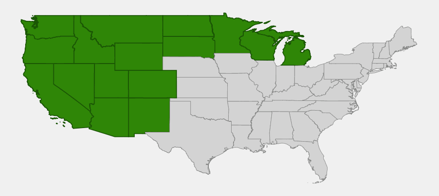 Native range map of Graceful Cinquefoil (Potentilla gracilis) showing distribution across the western United States, the northern Great Plains, and the western Great Lakes