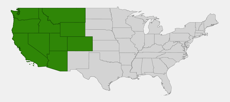Native range map of grand collomia (Collomia grandiflora) showing distribution across the western United States from Washington to Arizona