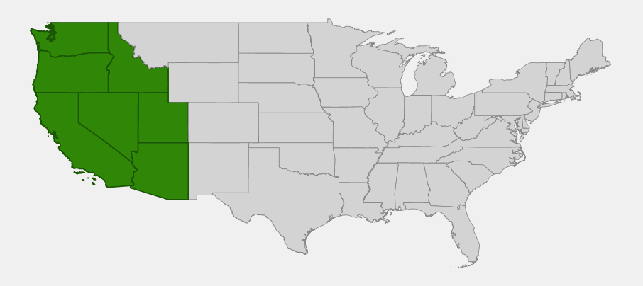 Native range map of Great Basin sage (Salvia dorrii) showing distribution across Washington, Oregon, California, Nevada, Idaho, Utah, and Arizona