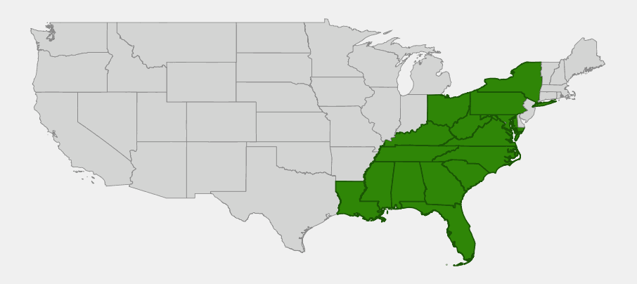 Native range map of Green and Gold (Chrysogonum virginianum) highlighting states from New York and Pennsylvania south to Florida and Louisiana