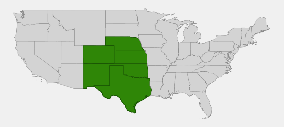 Native range map of Greenthread (Thelesperma filifolium) showing distribution across Texas, Oklahoma, New Mexico, Colorado, Kansas and Nebraska