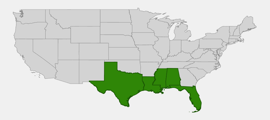 Native range map of gulf cordgrass (Spartina spartinae) highlighting Texas, Louisiana, Mississippi, Alabama and Florida