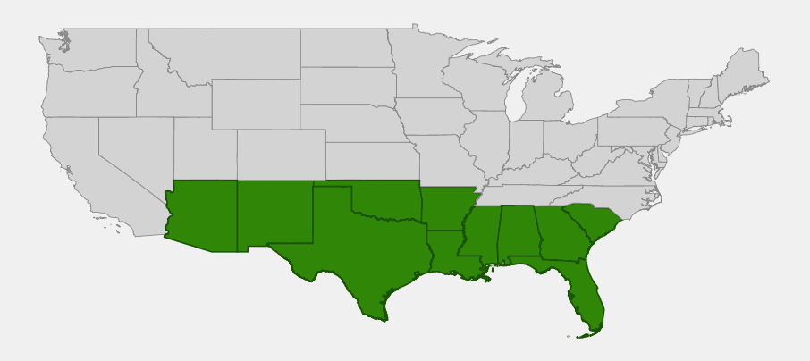 Native range map of Gum Bumelia (Sideroxylon lanuginosum) showing distribution across the south-central and southeastern United States