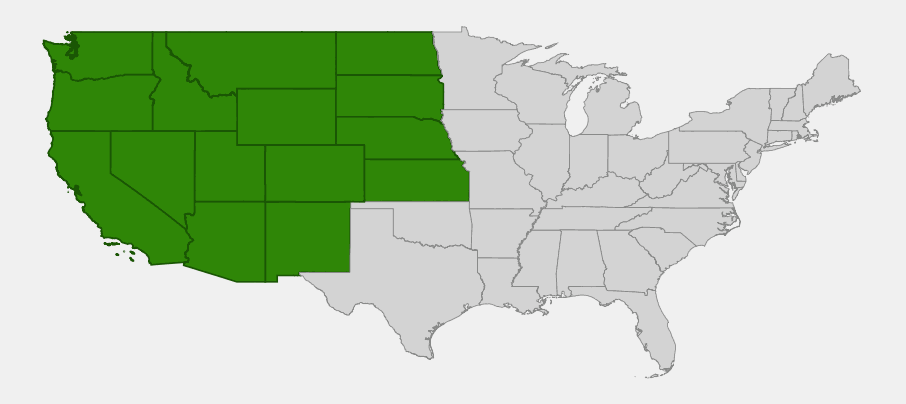 Native range map of hairy golden aster (Heterotheca villosa) showing distribution across the western and central United States