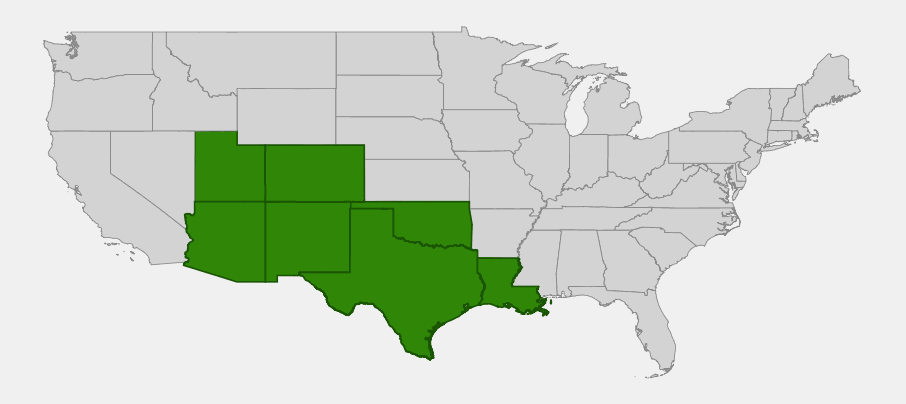 Native range map of Hall's panicgrass (Panicum hallii) showing distribution across Arizona, New Mexico, Utah, Colorado, Texas, Oklahoma, and Louisiana