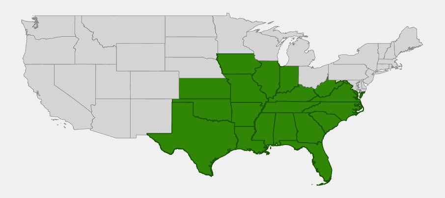 Native range map of heartleaf peppervine (Ampelopsis cordata) showing distribution across the south-central and southeastern United States
