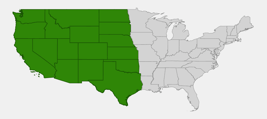 Native range map of hoary tansyaster (Dieteria canescens) across the western and central United States