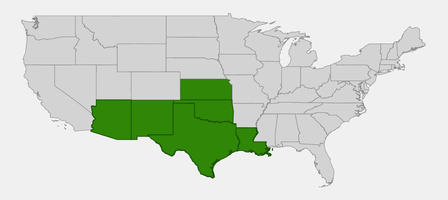 Native range map of Indian Blanket (Gaillardia pulchella) showing distribution across Texas, Oklahoma, New Mexico, Kansas, Louisiana, and Arizona